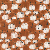 Spellbound - Pumpkin Patch Pumpkin  (43141-13)