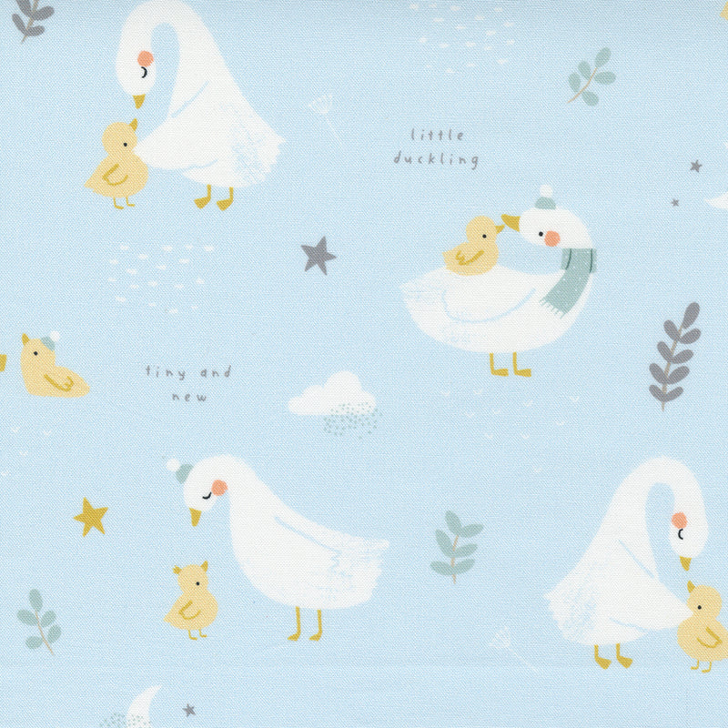 Little Ducklings - Blue